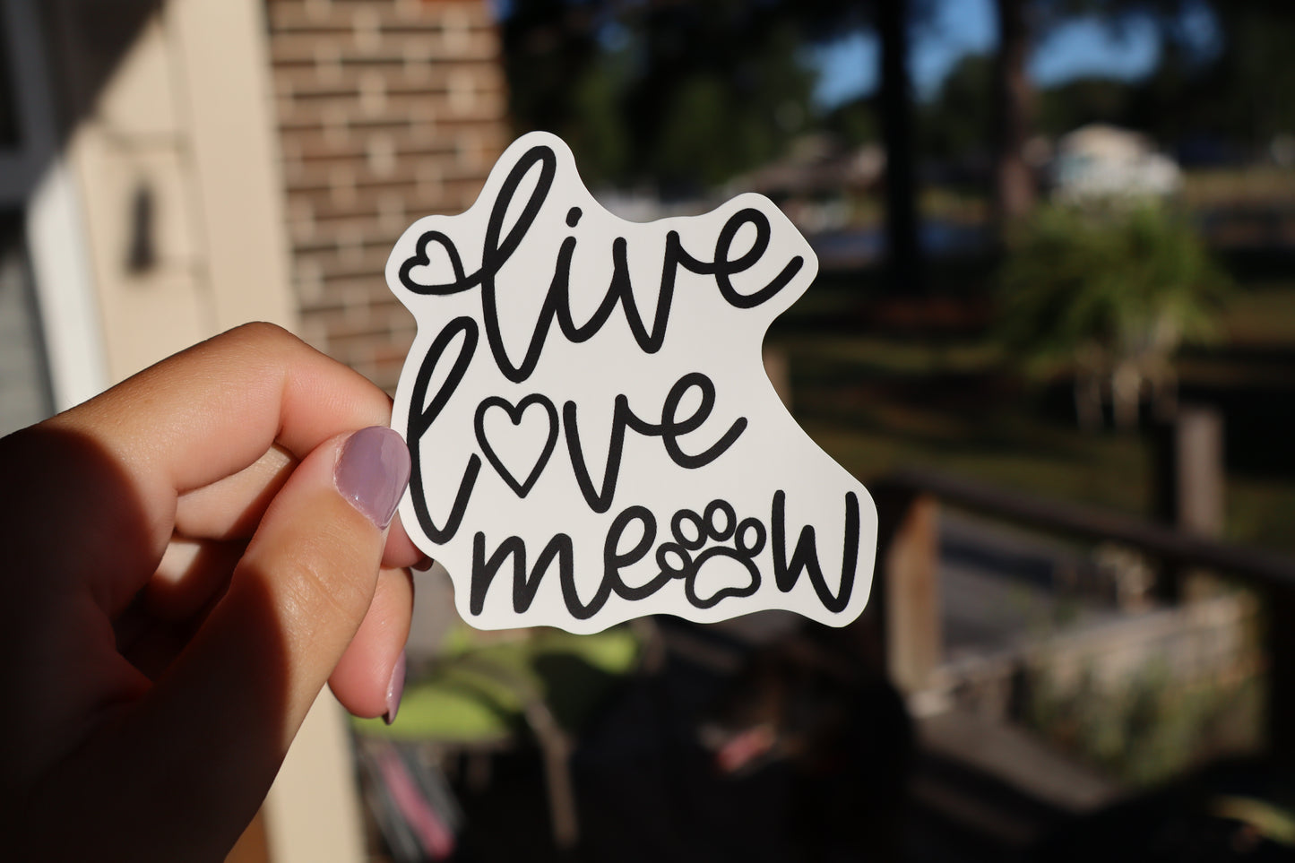 Live, Love, Meow Sticker