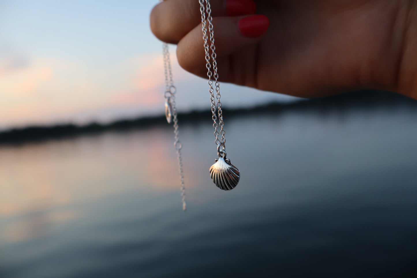 Daisy Silver Seashell Necklace