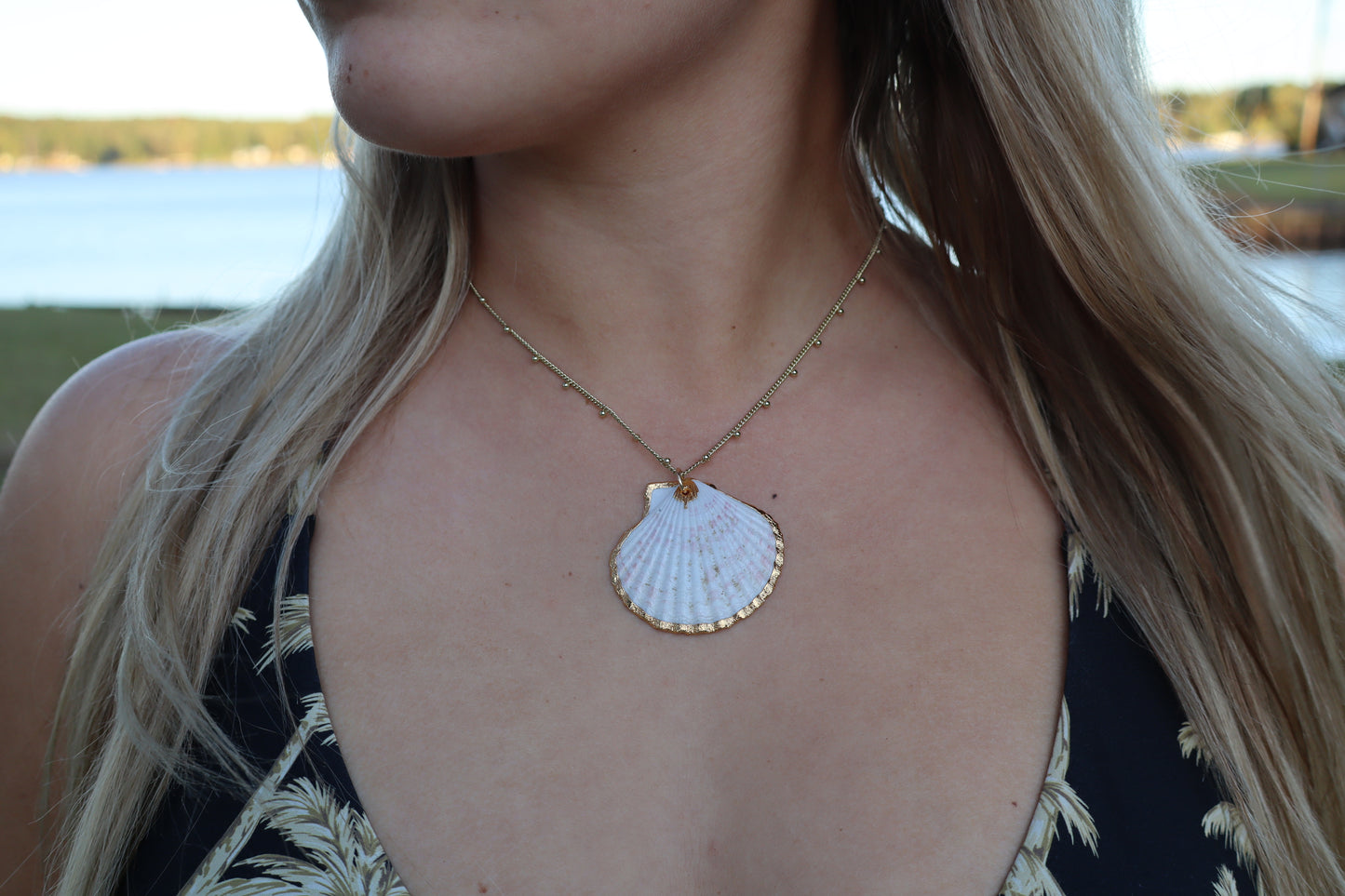 Mary's Marry Me Seashell Necklace